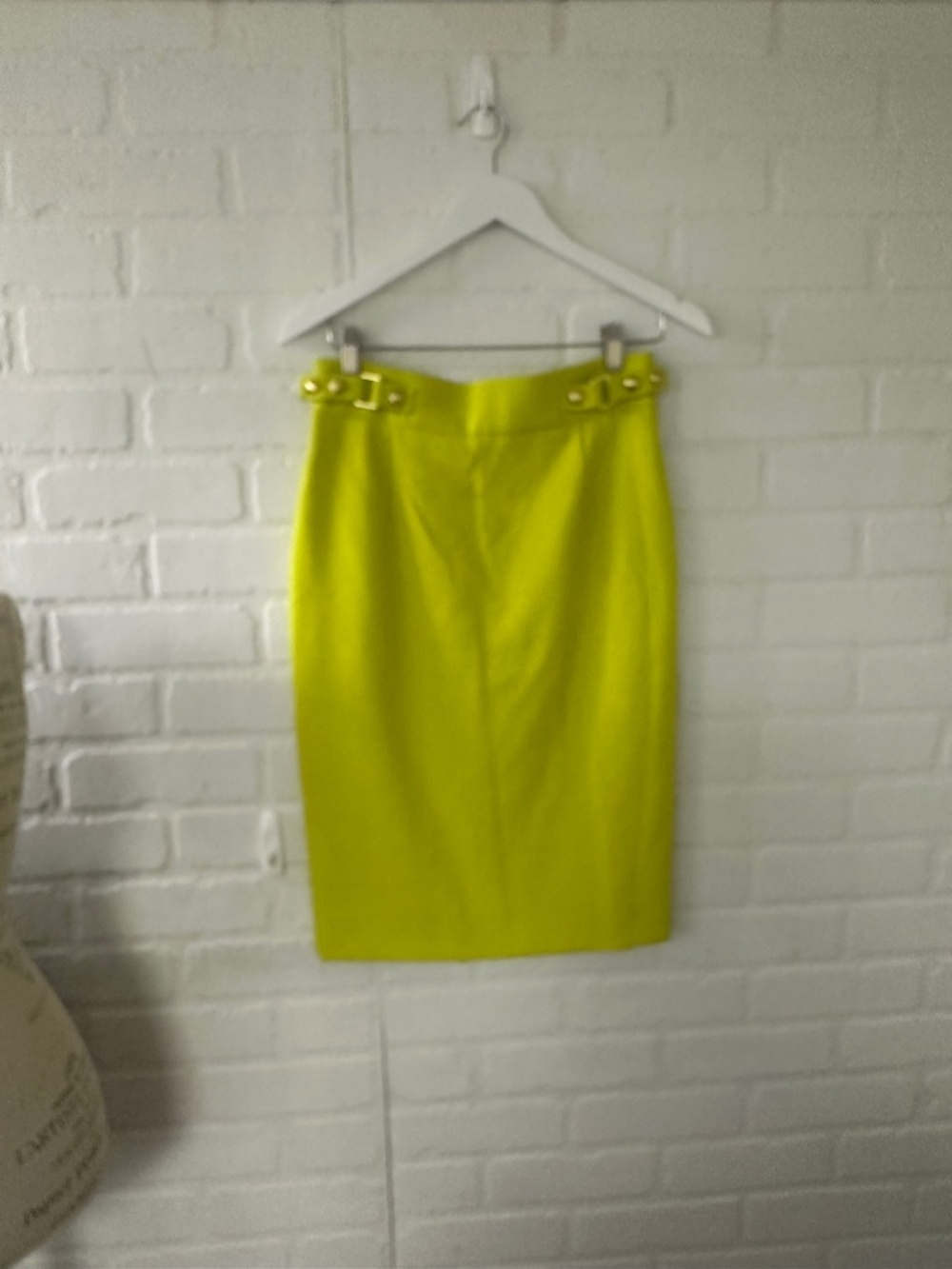 Antonio Melani skirt